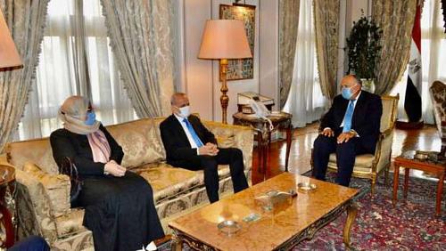 Foreign Minister confirms Egypts support for all efforts in Libya