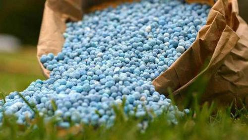 The World Bank warns of a global food crisis The reason is the high prices of fertilizers