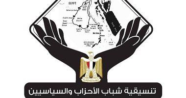 Coordinating Egyptian strategic parties took over information technology