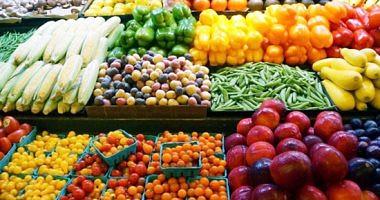 Prices of vegetable zucchini 15 4 pounds per kilo