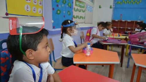 Education reveals the details of the Arabic language approach to primary grade students