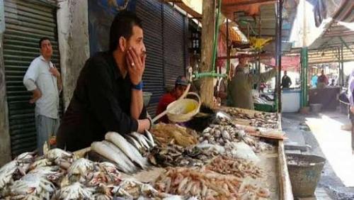The stability of fish prices on Saturday August 7
