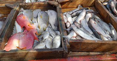 The prices of different fish in the wholesale market today are 21 pounds