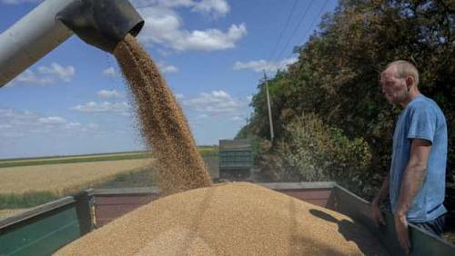 The most prominent information about the first port to witness the resumption of the export of Ukrainian grains