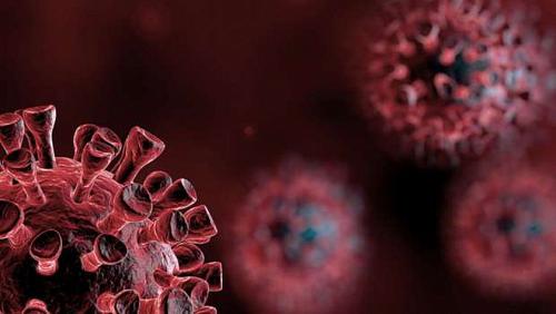 World Health The investigation into the origin of the Corona virus