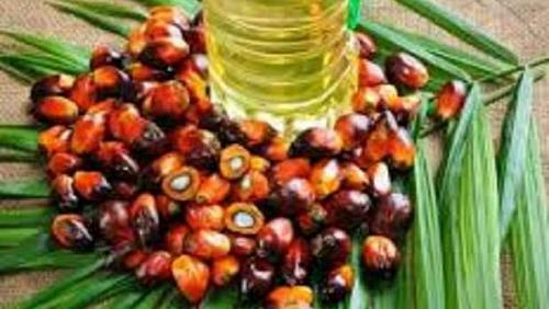 20 rise in palm oil prices globally due to the export tax