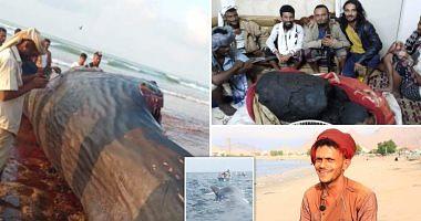 Watch the first meeting with Yemenis fishermen after finding a treasure inside a harmonious whale