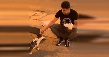 Omar Kamal feeds a cat on the street Jays be the cause of the paradise