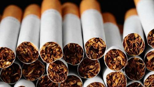 24 hours Egyptian economy drank 51 billion cigarettes with 9 months and iron increased