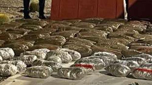 Interior holds the holders of narcotic substances in the governorates