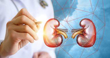 All you want to know about kidney function tests