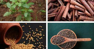 Use these spices to control cholesterol and sectarian levels