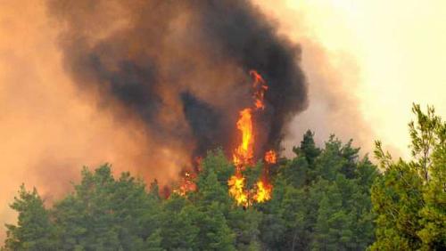 Forest fires in Turkey Authorities manifest tourists amid the number of deaths