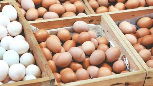 The price of egg carton today Saturday 2492022 in Egypt