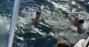 A scary adventure of two young people bend over a shark in America video and photos