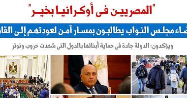Egyptians in Ukraine are fine quoting parliamentary