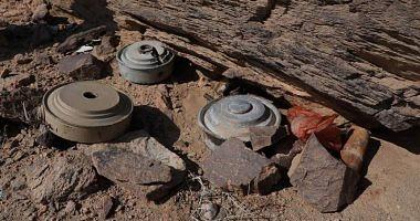Yemeni observatory is a young man takes more than 50 mines in Shabwa