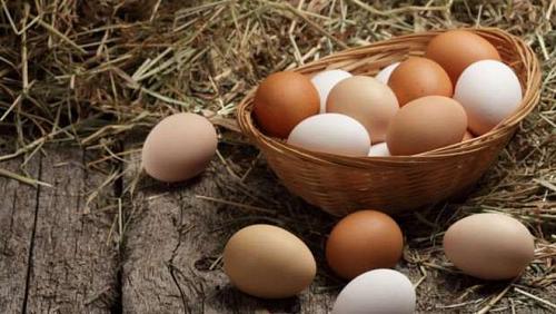 The price of the egg carton on Saturday 6 November 2021 shops and malls