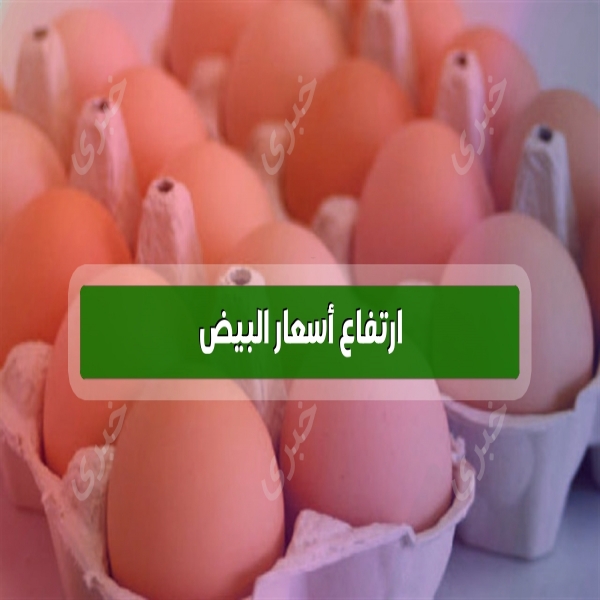The return of the high prices of eggs in the markets causes and effects