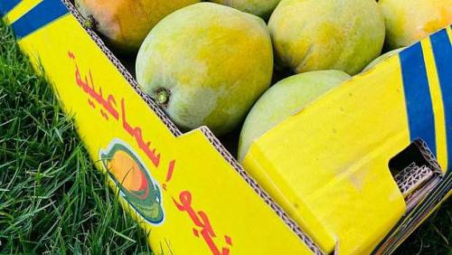 The vegetable and fruit division decreased the prices of mangoes and a kilo from 10 to 20 pounds