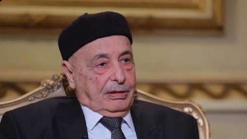 The speaker of the Libyan parliament does not want any foreign forces on our land