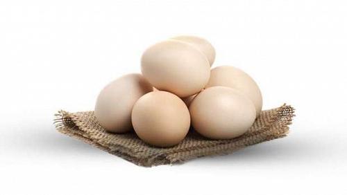 The price of egg carton today Sunday 1192022 in Egypt
