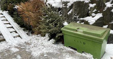 Sweden ends Christmas celebrations and disposal of Christmas trees