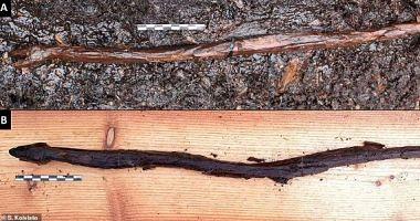 Find a snakeshaped stick in Finland 4400 years old Have you been used in magic