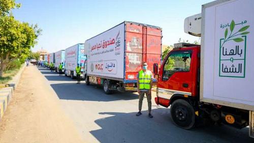 With 37 tons live Egypt launches a aid convoy in the marine oases
