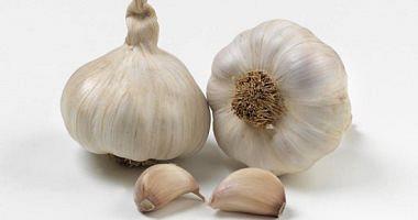 If you want to dissolve garlic daily help you lose weight and burn fat