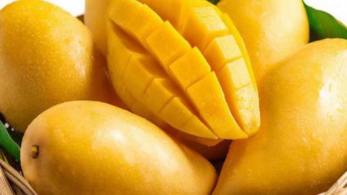 Mango types in Egypt with pictures and prices in Obour Market 2021