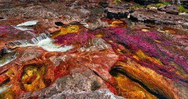 River with five colors in Colombia attracts tourists to watch your scenic pictures
