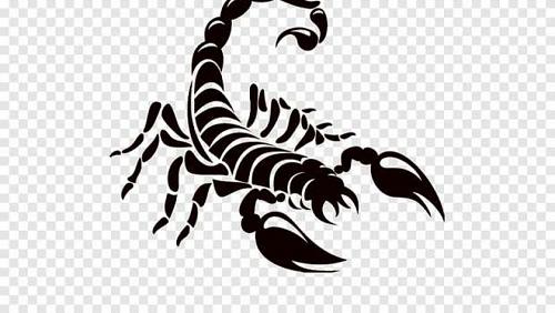 Your luck today Scorpio Thursday 1592022 emotionally and professionally