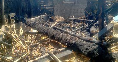 A huge fire devours 3 cattle pieces in one of Ashmoun villages in Menoufia