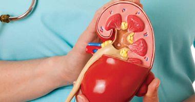 Tips to deal with chronic kidney disease and prevention methods