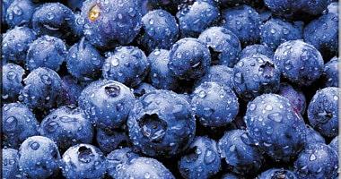 Blue berries causes three French arrest and fine 45000 euros