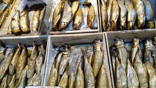 1343 catering cases were set up within 24 hours highlighted 16 tons of corrupt herring