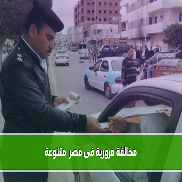Registration of 25928 various traffic violations within 24 hours