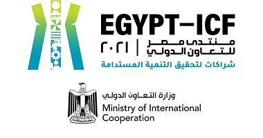 How does Egypts international cooperation contribute to support innovation and business pioneers