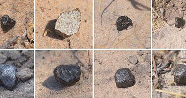 A US probe is transferred to land 60 grams of the most dangerous rocks