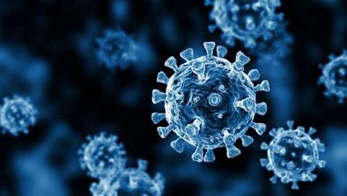 Health announces medical teams for nonEgyptian vaccination against Corona virus