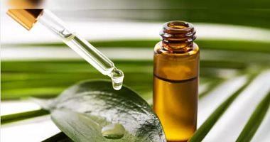 The tea tree is magical treatment for hair problems in summer I know its benefits