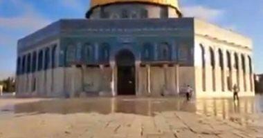 Dozens of settlers break into AlAqsa Mosque