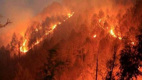 From Turkey for Italy forest fires continues in the Eastern Mediterranean region