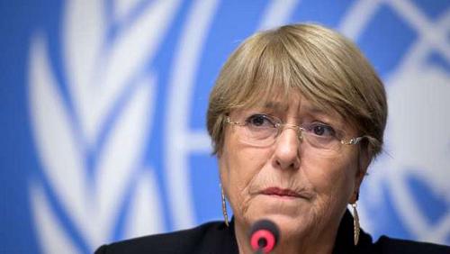 The United Nations Human Rights Commissioner is unacceptable