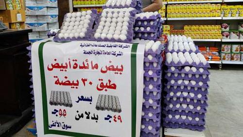 Supply low price of eggs for 55 pounds