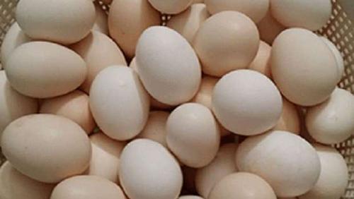 Learn about egg prices today a red dish with 44 pounds