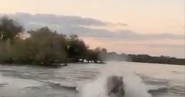 A furious river horse chasing tourism stormed his area in Lake Victoria Kenya