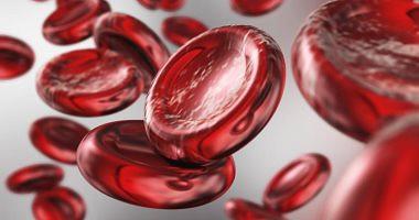 Learn the most important vitamins to promote hemoglobin pumping in the blood