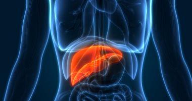 All you want to know about liver cancer